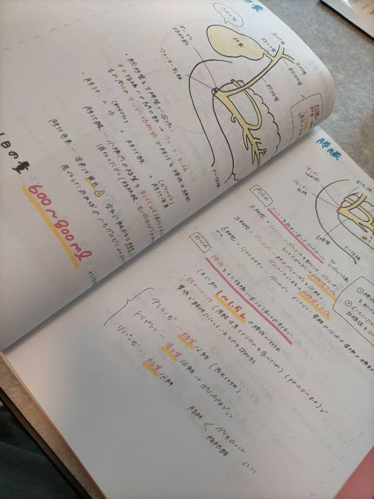 原本　1名さま限定！！看護師国家試験　まとめノート　付箋ノート 原本 1名さま限定！！看護師国家試験 まとめノート 付箋ノート